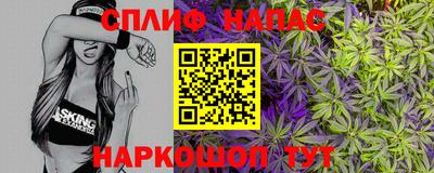 МДПВ Моздок