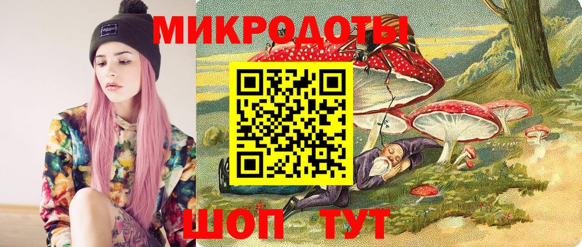Псилоцибиновые грибы Cubensis Иваново