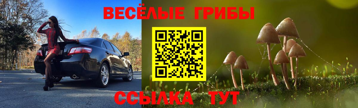 Галлюциногенные грибы прущие грибы  Вход с VPN  магазин  наркотиков  Иваново 